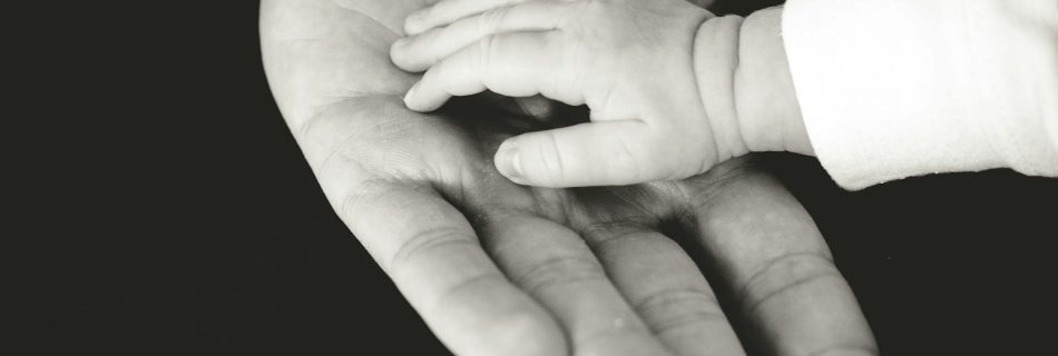 child and parent hands photography