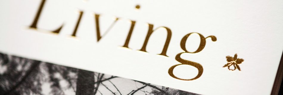 white and black labeled box