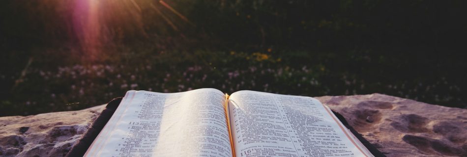 white book page on brown wooden table