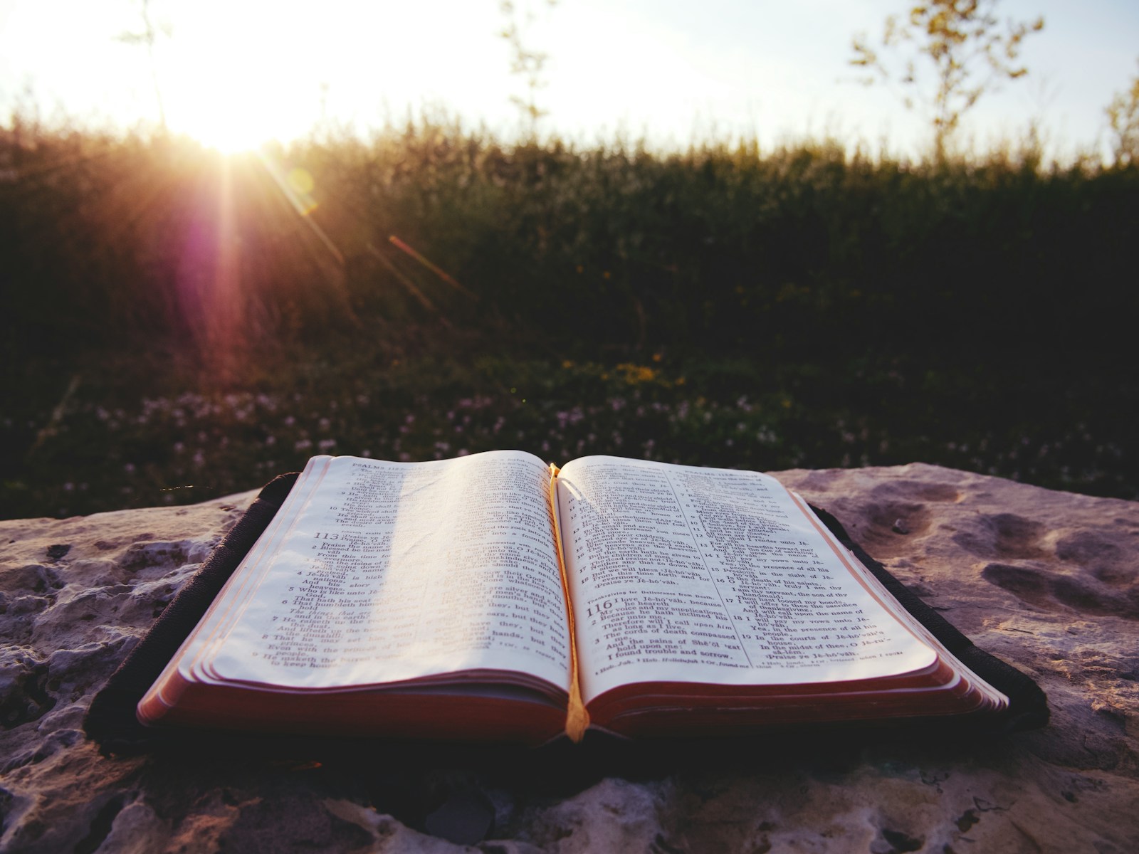 white book page on brown wooden table