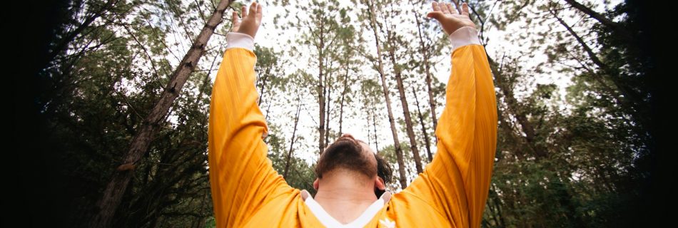 Man in yellow shirt looking up at trees